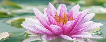 Le déploiement de l'être dans toute sa beauté et sa plénitude