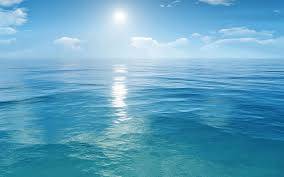 Apprendre à s'abandonner à la Vie avec un Coach de Vie à Toulon-La Garde