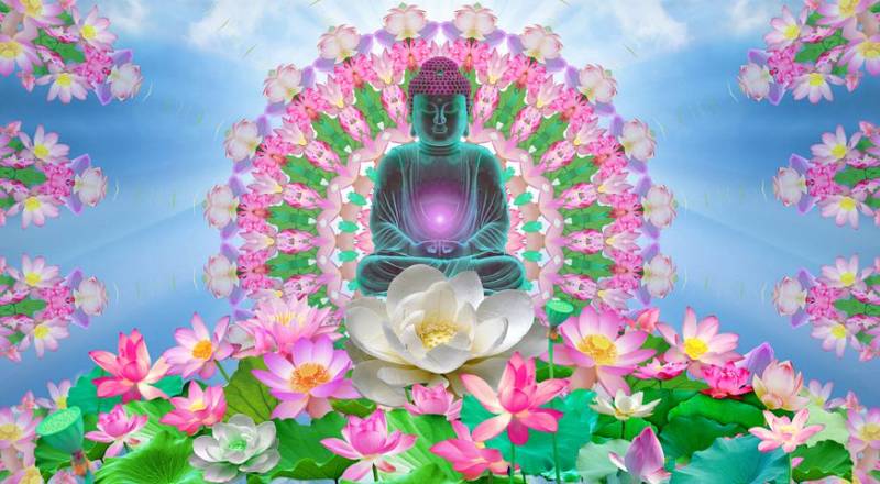 Pensées à méditer