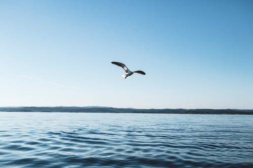 La véritable liberté est un état d'être