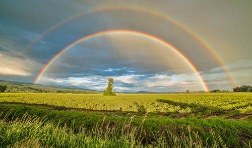 Créer sa vie tel un arc en ciel transcendant pluie et soleil