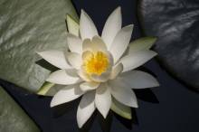 Nos prestations sur le secteur de près d'Hyères